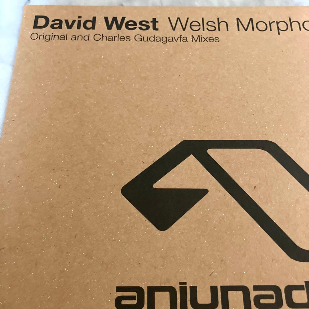 洋楽 David West - Welsh Morphology 12\" ANJUNA