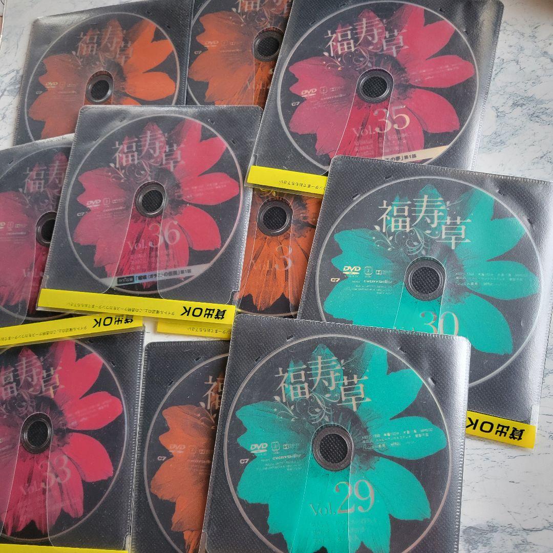 福寿草 韓国ドラマDVD 全巻36レンタル落ち