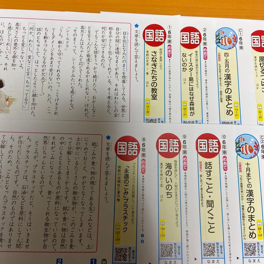 カラーテスト6年生国語　未記入　R7年度版