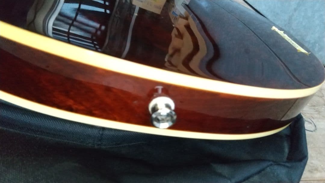 Epiphone Jack Casady Signature レッド ケース付