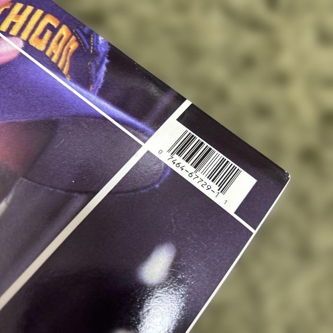 送料込み【輸入盤】LP GHOSTFACE KILLAH IRONMAN