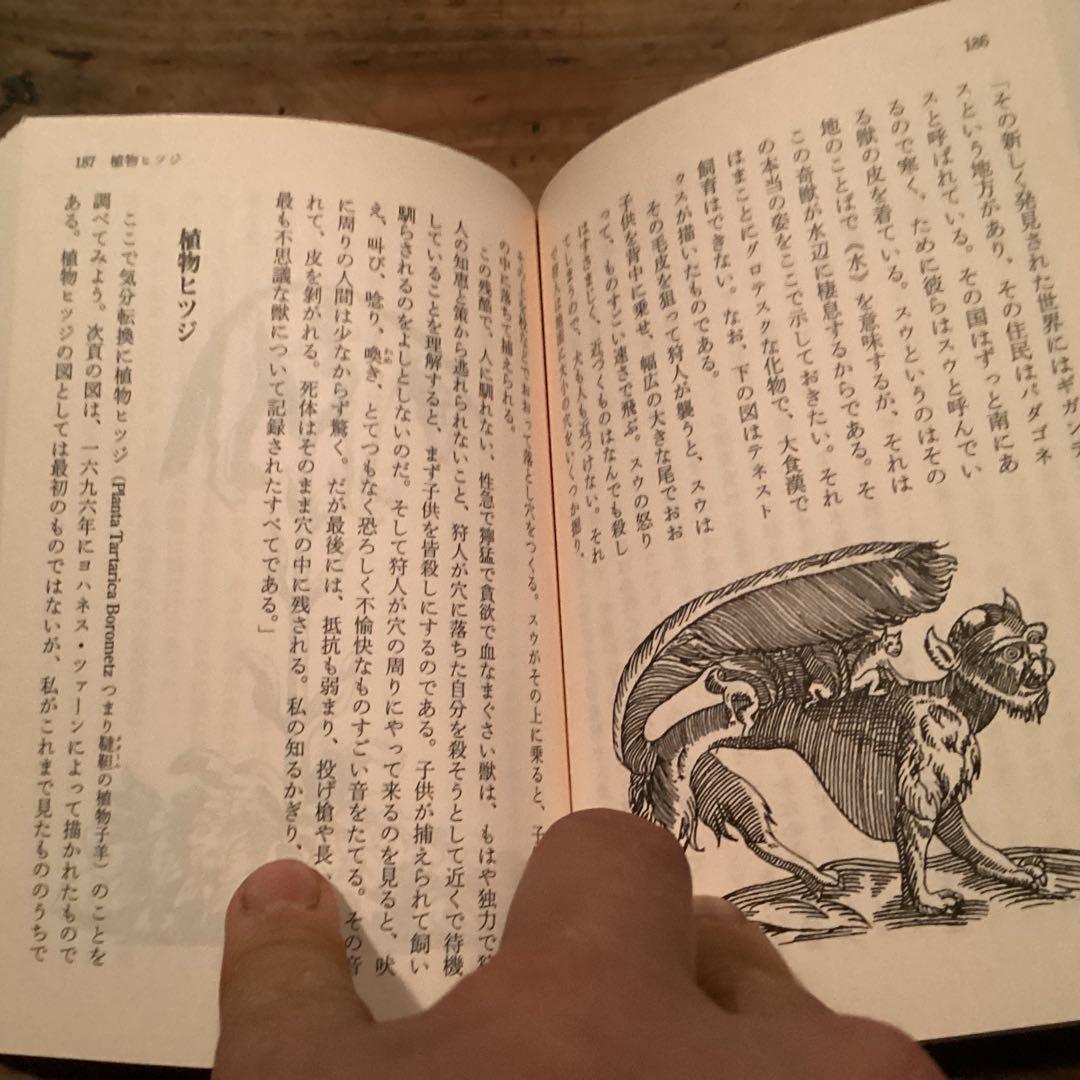 希少本！　レア本　絶版！　奇怪動物百科 ジョン・アンドリュー著