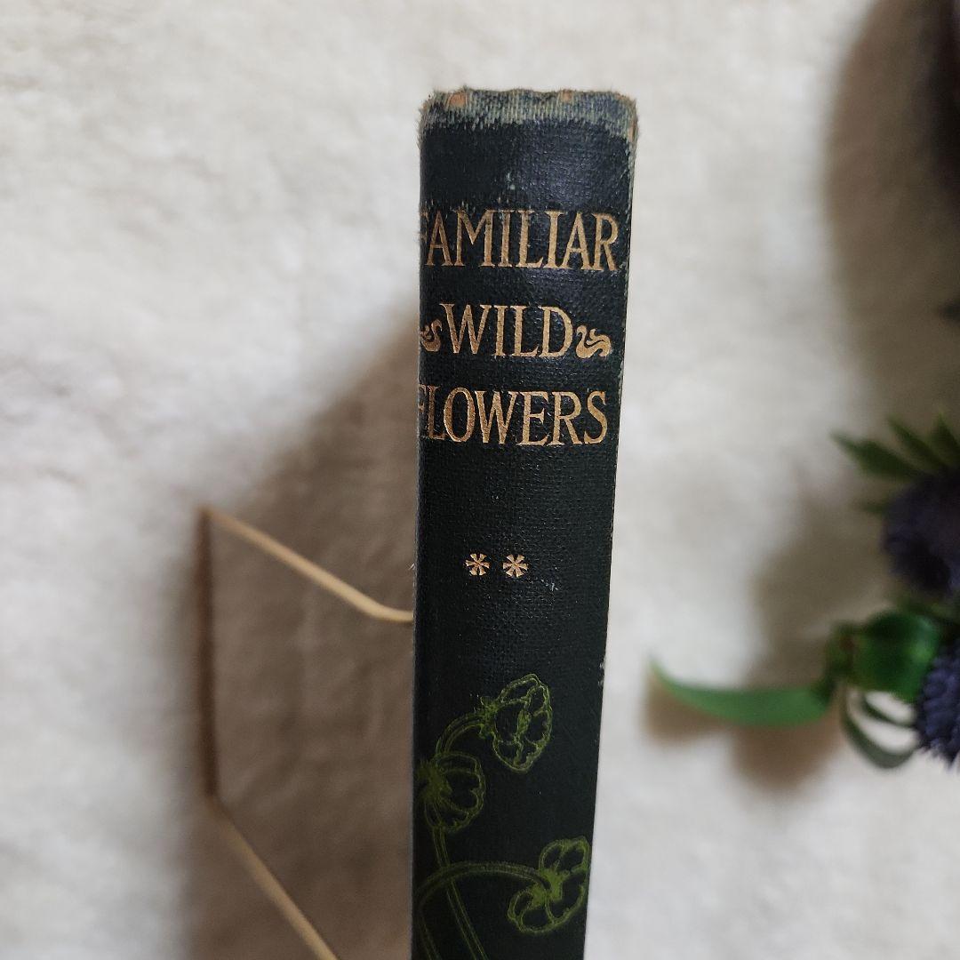 植物図鑑　洋書　古書　アンティーク　Familar Wild Flowers②
