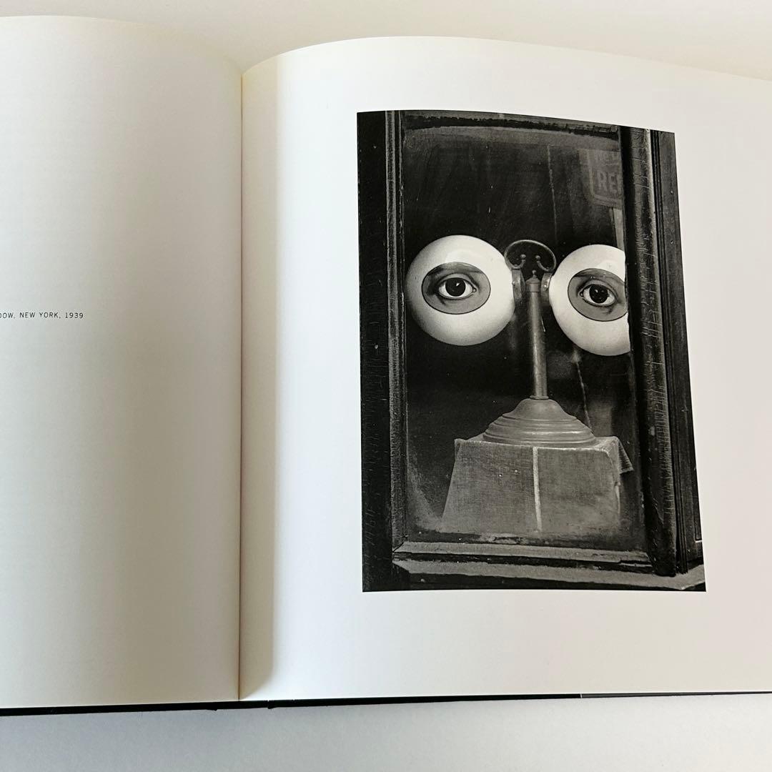 写真家　アーヴィング・ペン　作品集Irving Penn Photographs