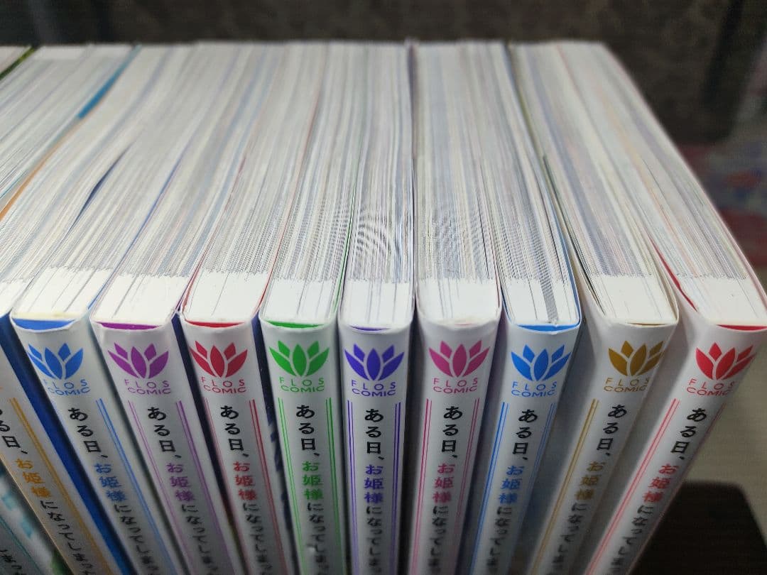 ある日、お姫様になってしまった件について 全13巻セット