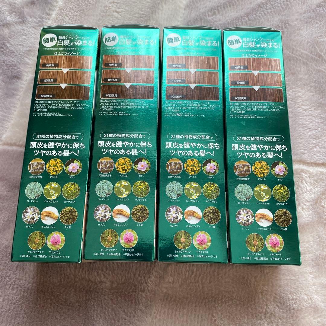 利尻昆布 カラーシャンプー ブラウン 180g 4本セット