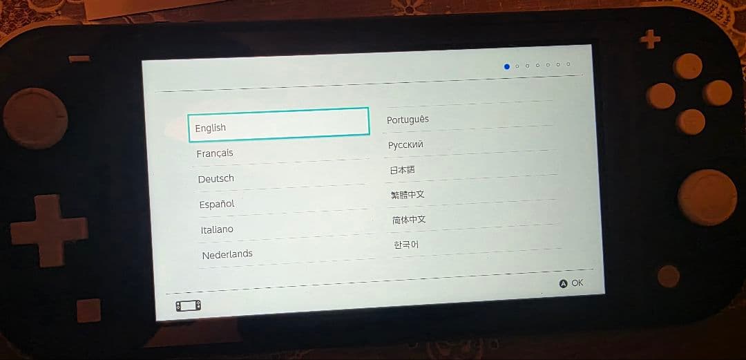 【美品】Nintendo Switch Lite 本体のみ ポケモンZA付き