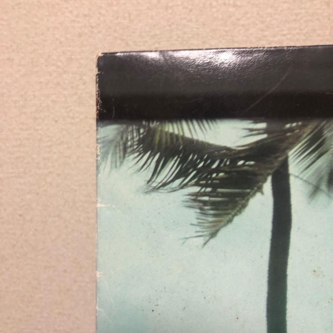 【レア】避暑地まで Down To The Resort レコード LP