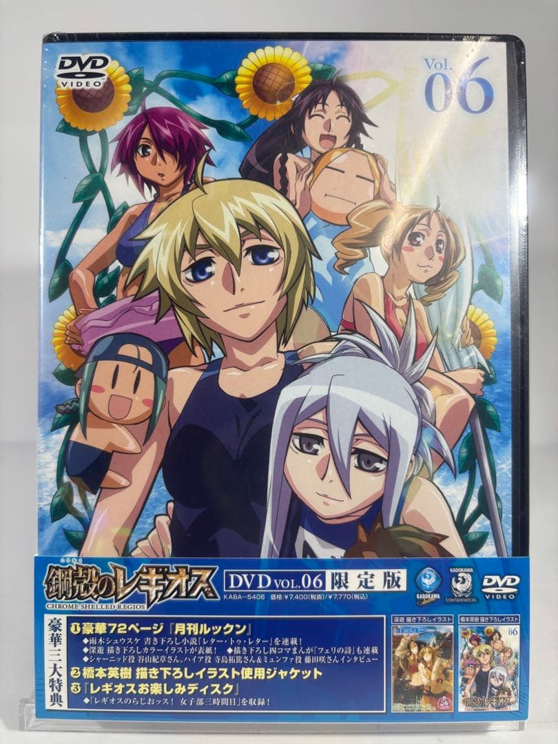 鋼殻のレギオス 限定版　未開封dvd 10巻セット