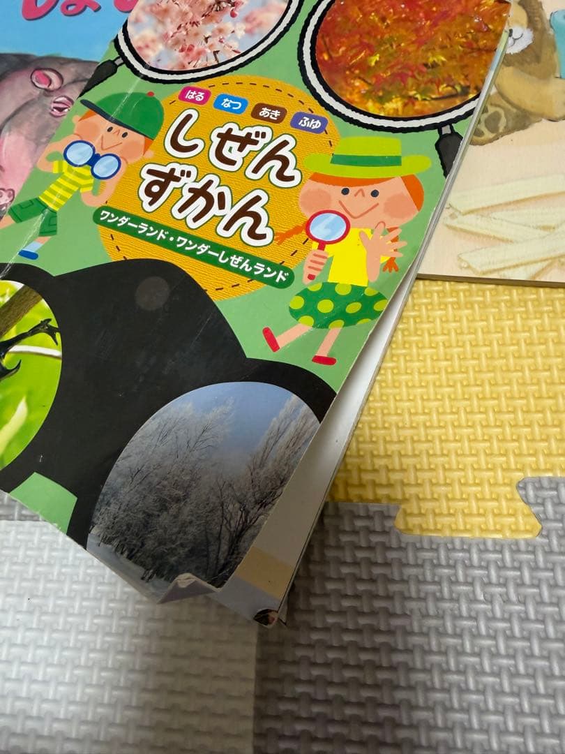本　まとめ売り　子供