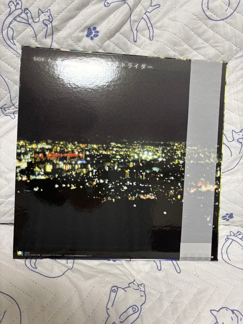 即購入OK 未使用品 銀杏BOYZ 光 レコード LP