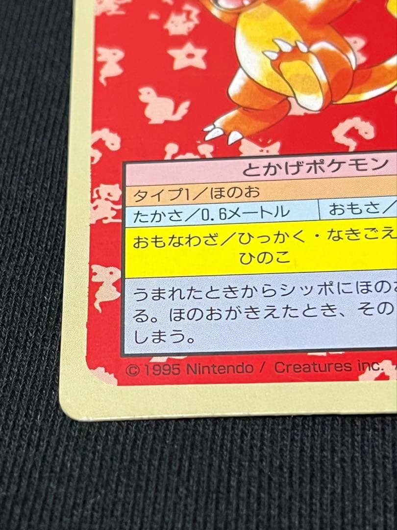 ポケモンカード　トップサン　ヒトカゲ　裏緑