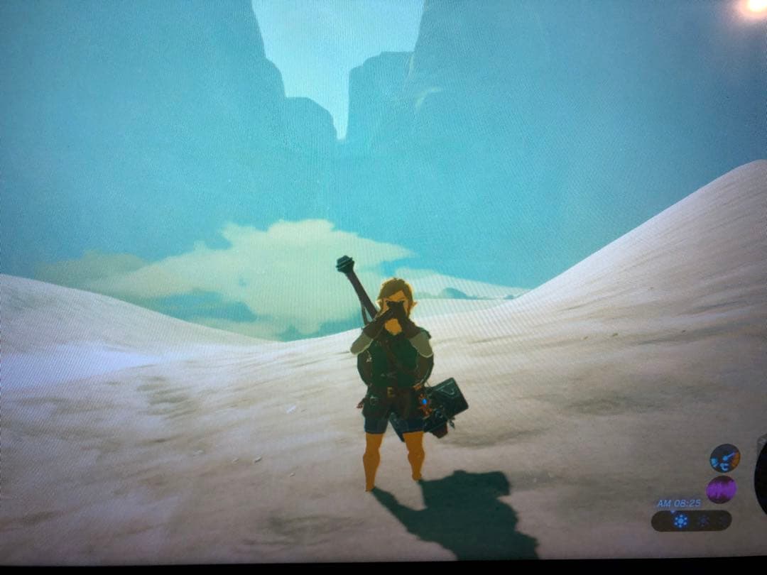 ゼルダの伝説 ブレスオブザワイルド エキスパンション パス　ニンテンドースイッチ