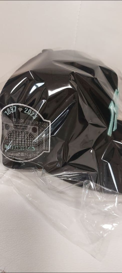 新品未使用☆TWNTY TWO NY TIFFANY SNAPBACK CAP☆