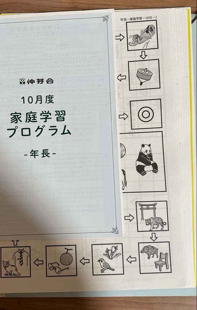 伸芽会 家庭学習プログラム 年長
