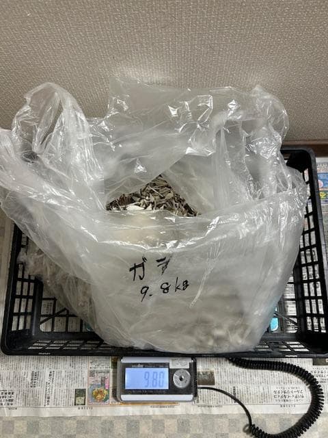 Susi商品　詰め合わせ