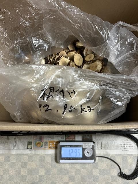 Susi商品　詰め合わせ