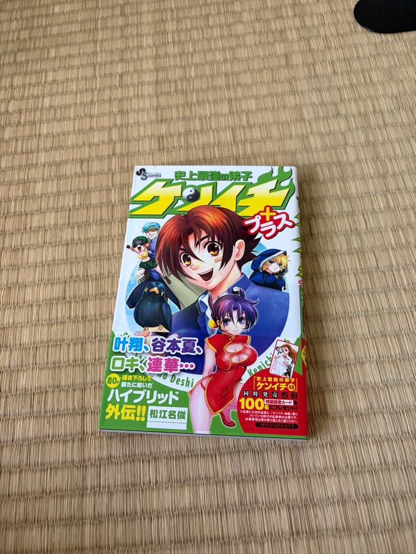 史上最強の弟子ケンイチ完結＋ケンイチプラス