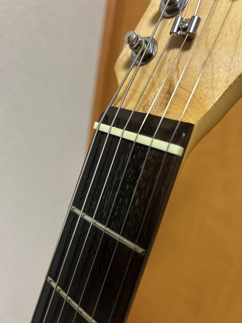 PhotGenic ストラトタイプ各部調整済み