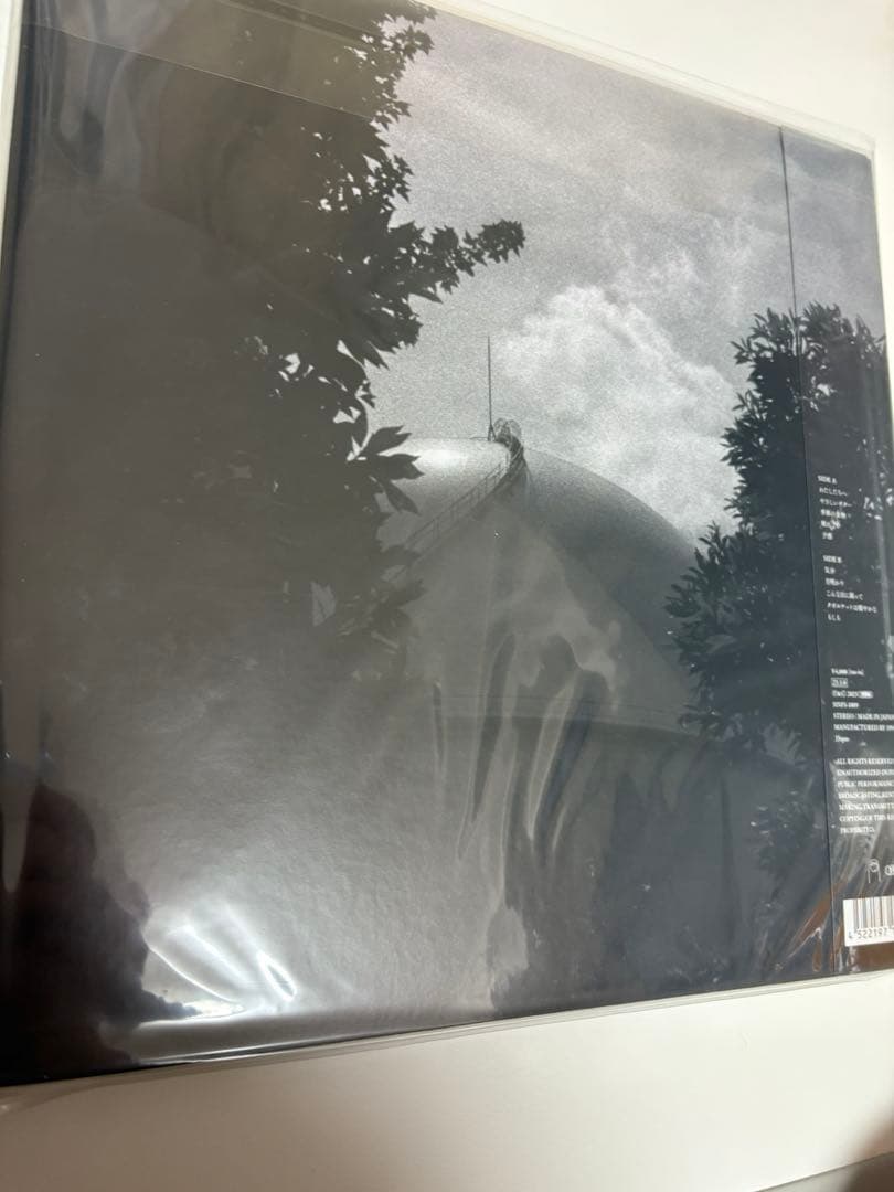 タオルケットは穏やかな ひとりでに カネコアヤノ レコード LP