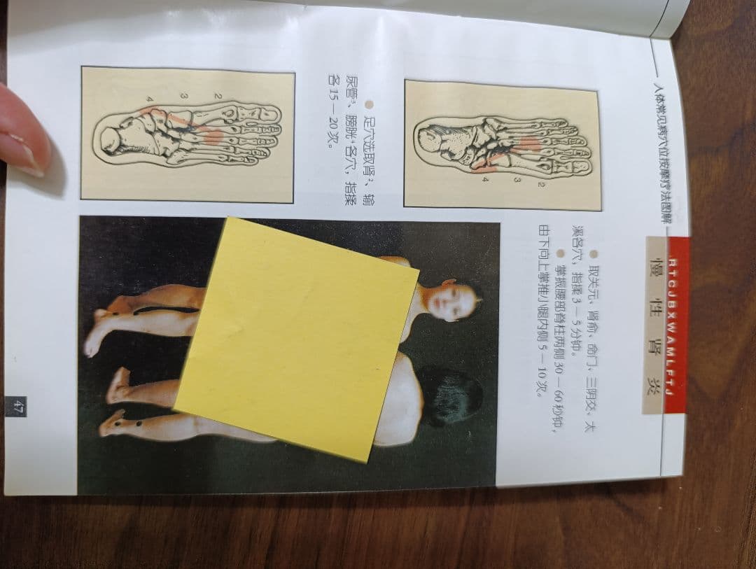 希少 鍼灸教学書