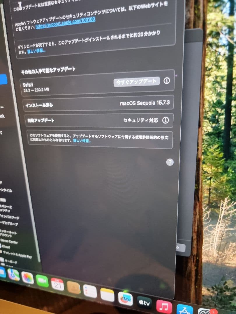 iMac 21.5 4K Core i5 / 8GB / 1TB 2019　本体