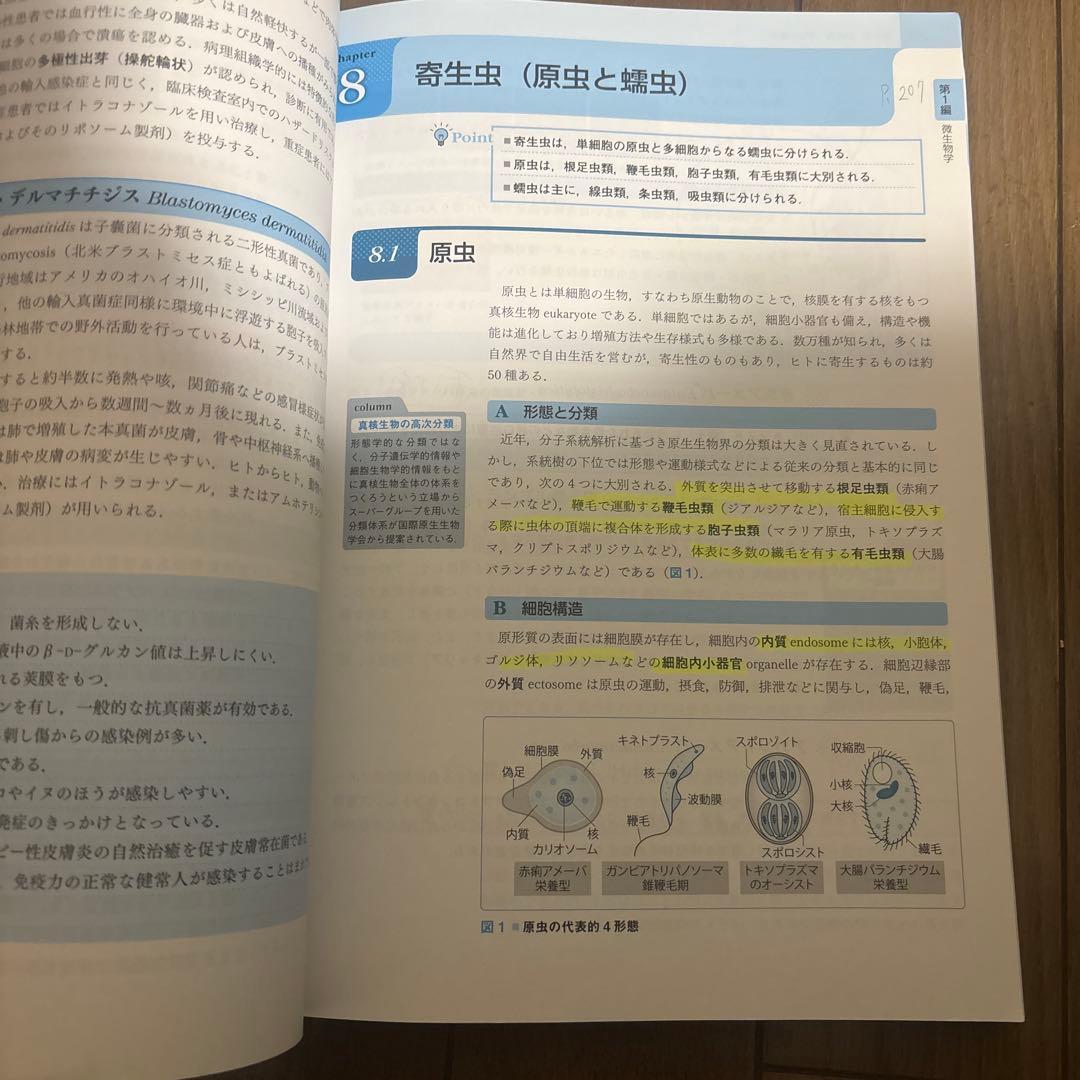 薬系微生物学・感染症学