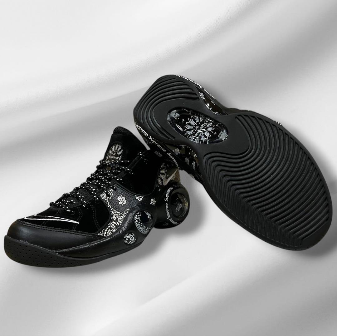 supreme/nike シュプリーム×ナイキ エア ズーム フライト95 SP