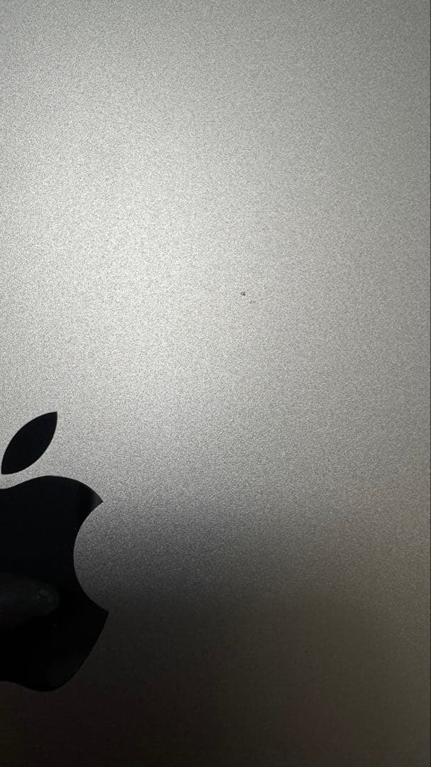 【美品付属品完備】iPad Air (第４世代) Wi-Fi 256GB