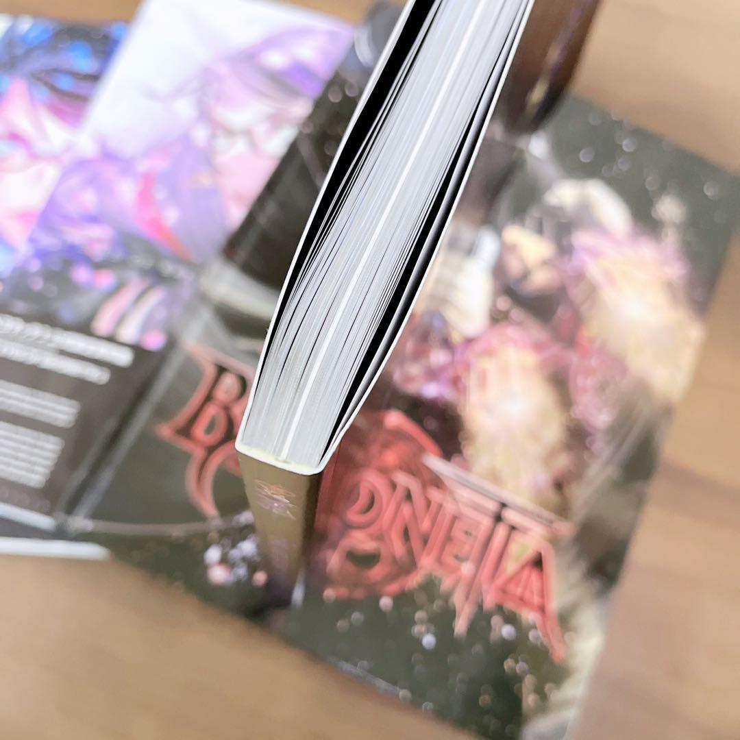 BAYONETTA123 ベヨネッタ 公式設定資料集