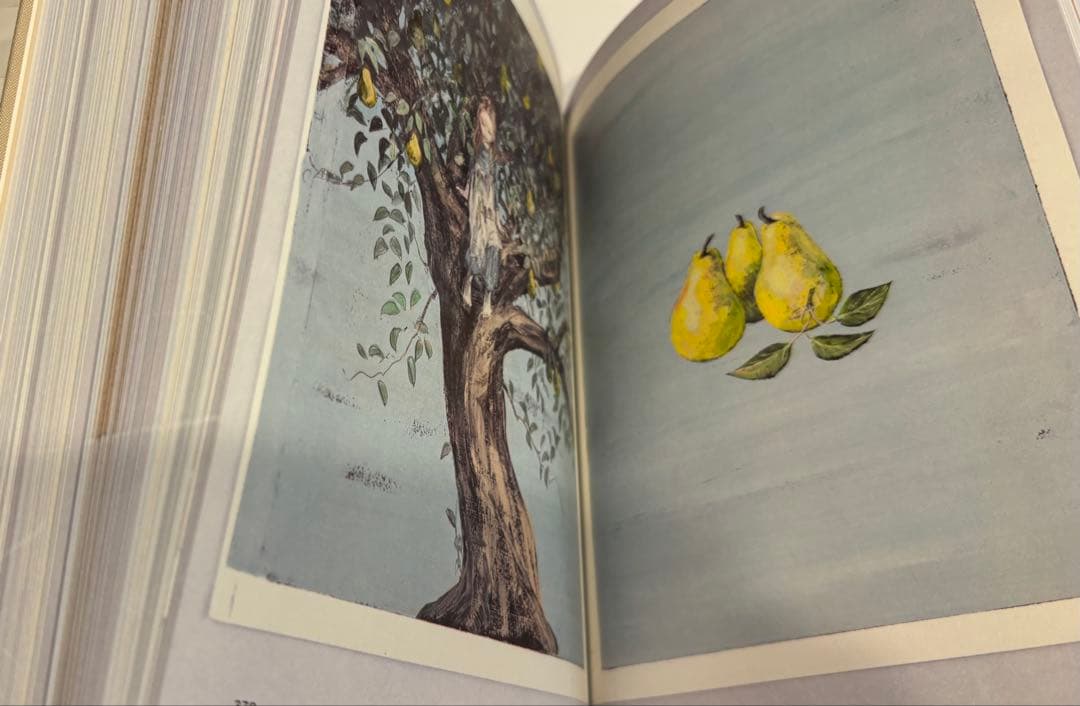 酒井駒子　みみをすますように　図録