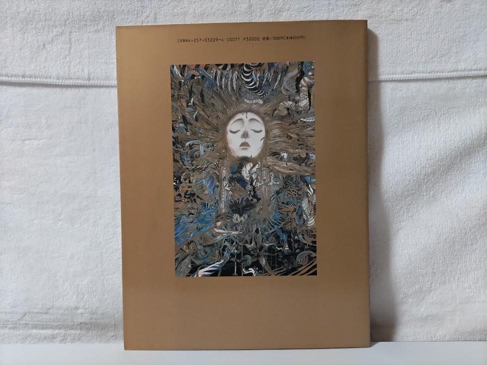 【天野喜孝 2冊】飛天／魔天　画集　eeo