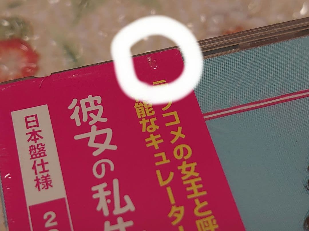 彼女の私生活OST