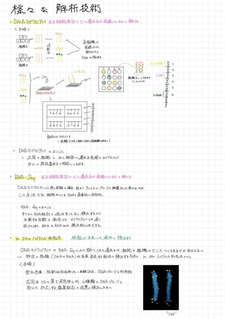 ※Rxxxma 2024改訂版 エッセンシャル細胞生物学 自作問題集