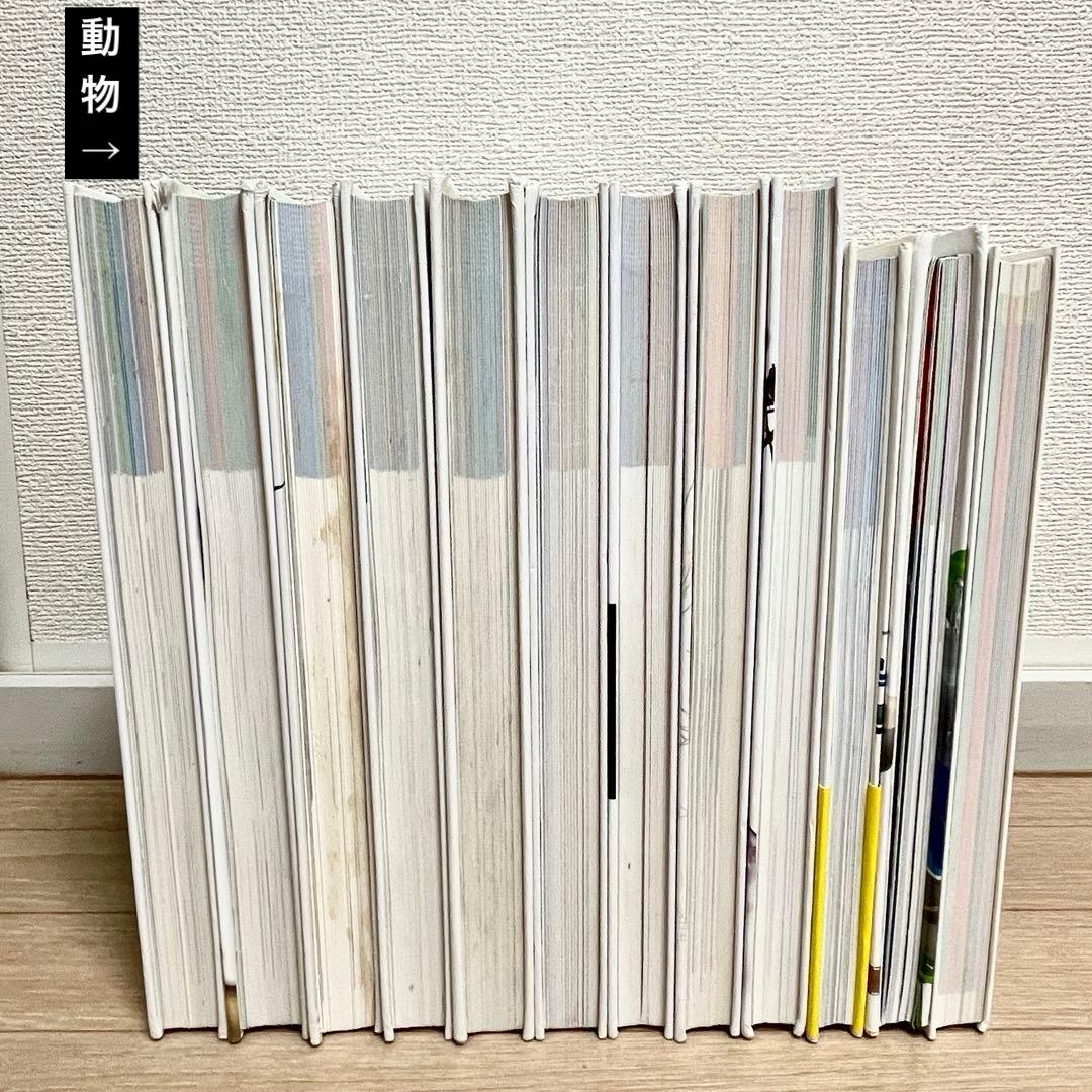 【人気シリーズ】小学館の図鑑neo 12冊まとめ／自由研究・知育本／図鑑中古本