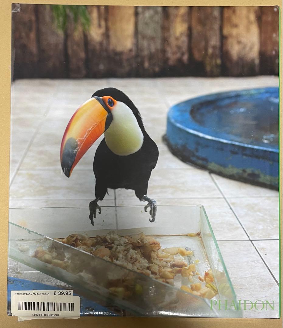 Wolfgang Tillmans 作品集 PHAIDON