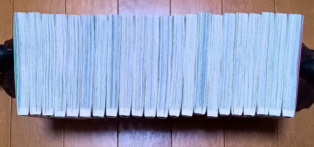 チェンソーマン 22巻セット まとめ売り 全巻　藤本タツキ