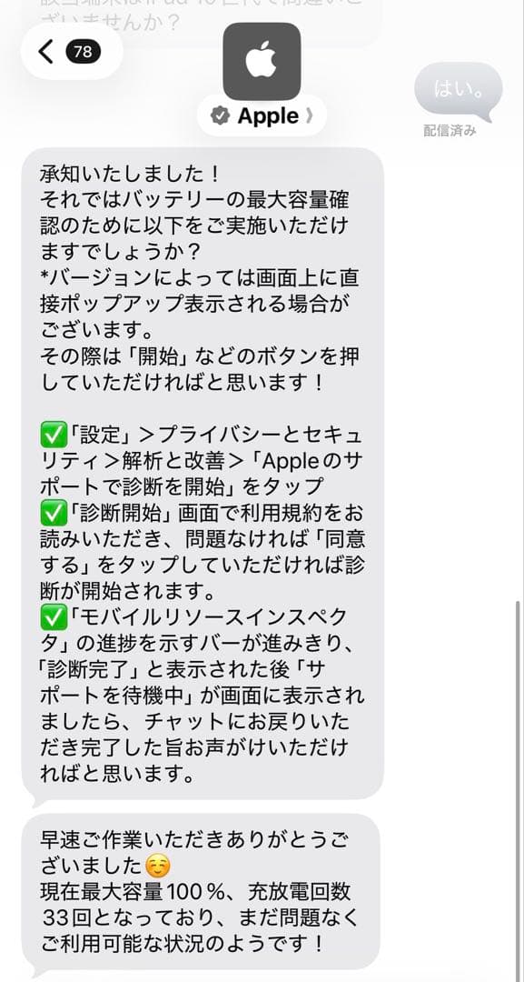 Apple iPad 2022 第10世代 256GB ブルー