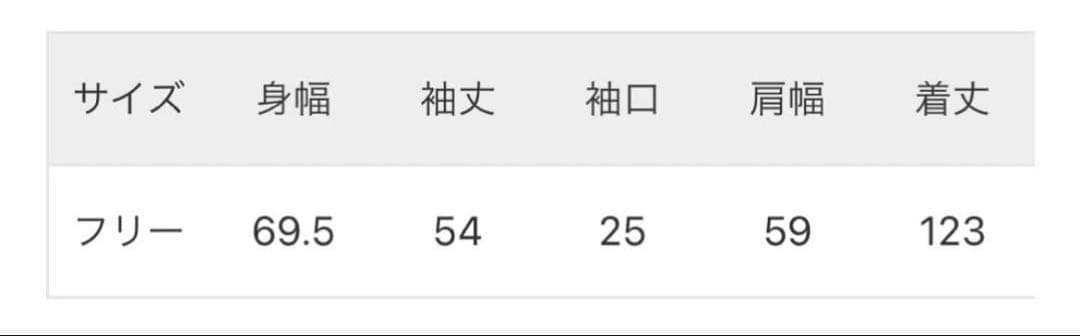 ドゥーズィエムクラス lightningダスターコート 23aw ベージュ