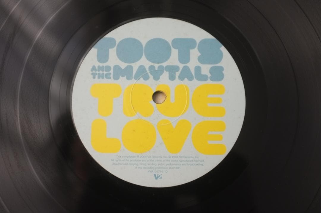 Toots & the Maytals / True Love LPレコード
