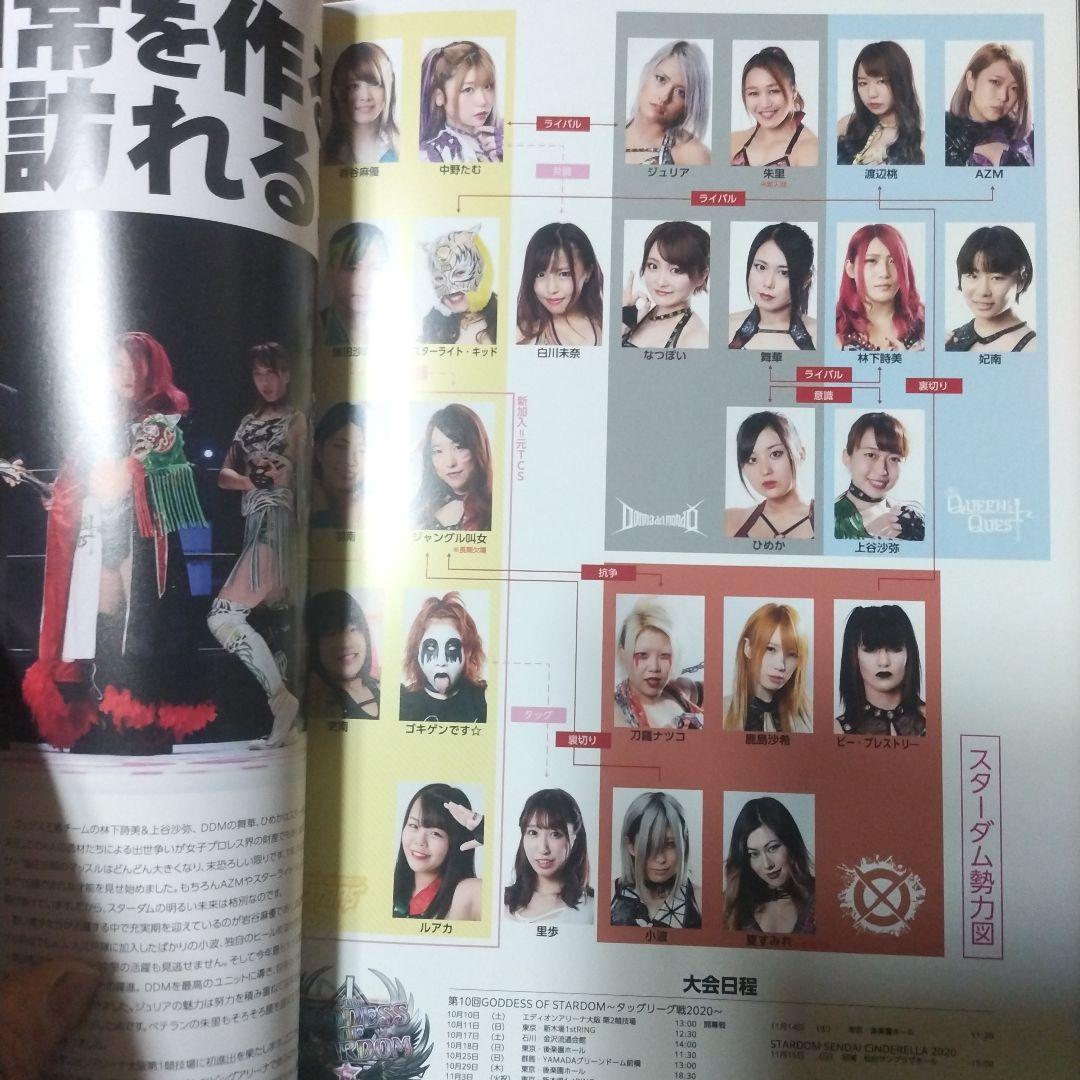 スターダ厶写真集、ビキニング、BiKiniing11、12、ビギニング、女子プロ