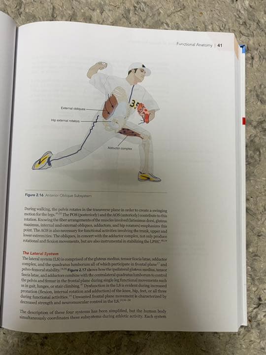 NASM 英語版テキスト　教科書　専門書　参考書　洋書