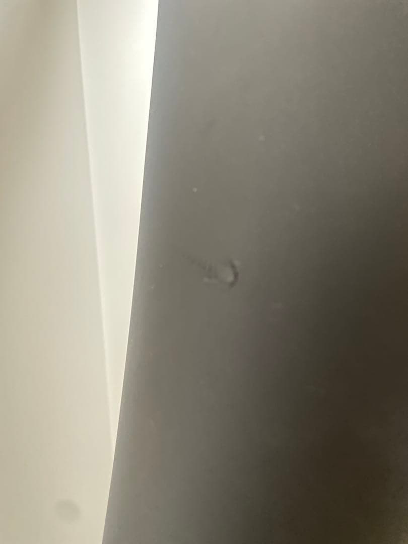 【使用3回】RASH セミドライ 5×3mm 裏起毛 Lサイズ 冬用