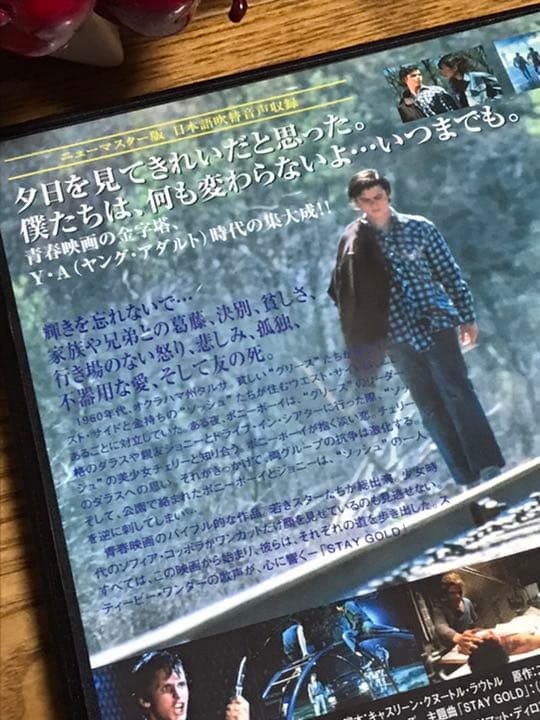 ⭐️貴重なパンフレット付⭐️【アウトサイダー】セル版DVD⭐️ニューマスター版⭐️名作⭐️
