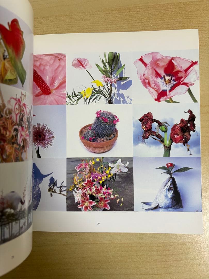 荒木経惟　FLOWERS