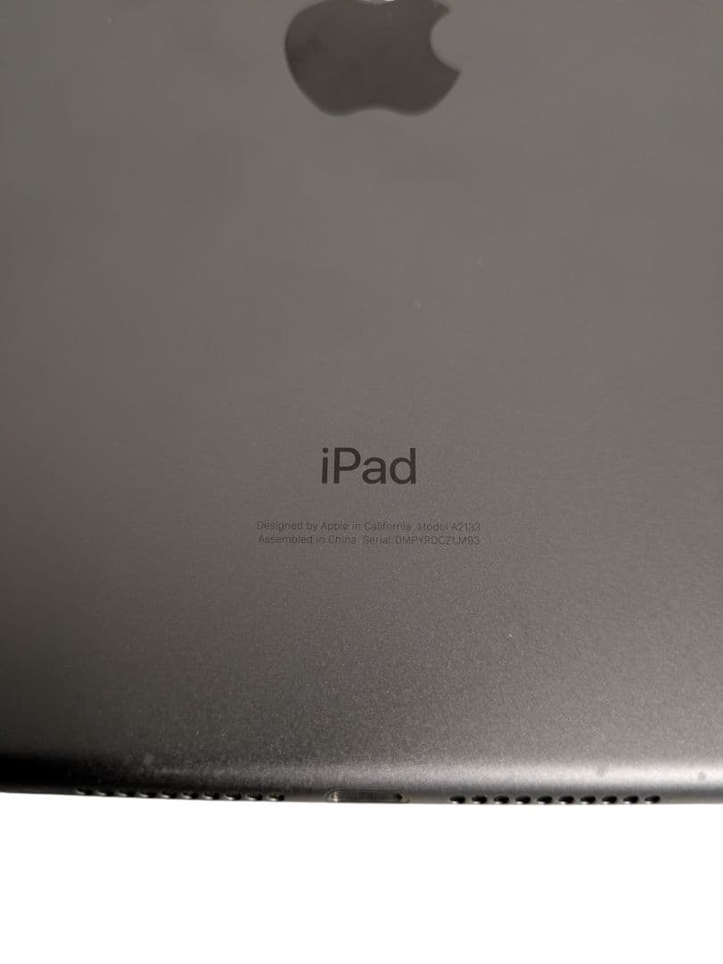 ジャンク iPad mini 第5世代 A2133容量不明パスコード不明本体のみ