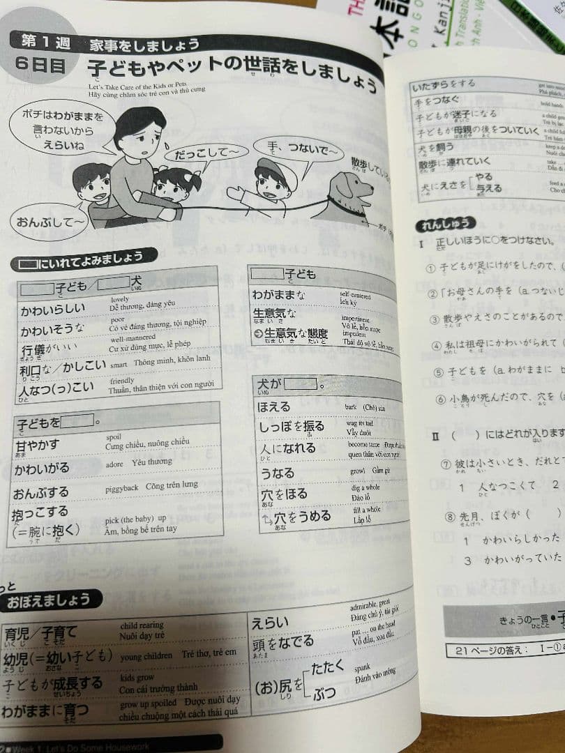 日本語総まとめN1 N2 N3 N4 N5（ベトナム語・英語版） 18冊セット