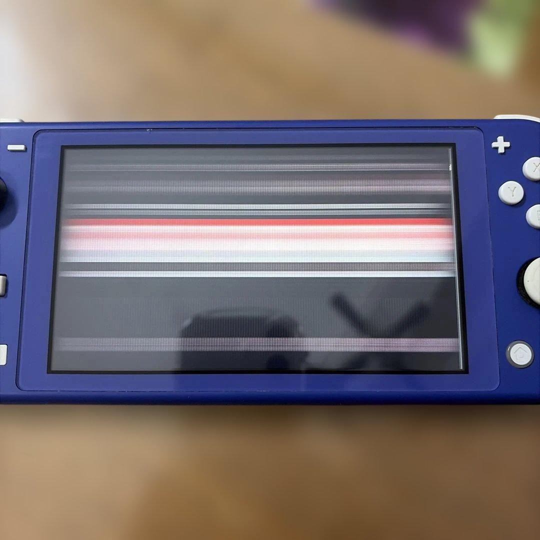 Nintendo Switch Lite パープル【ジャンク】