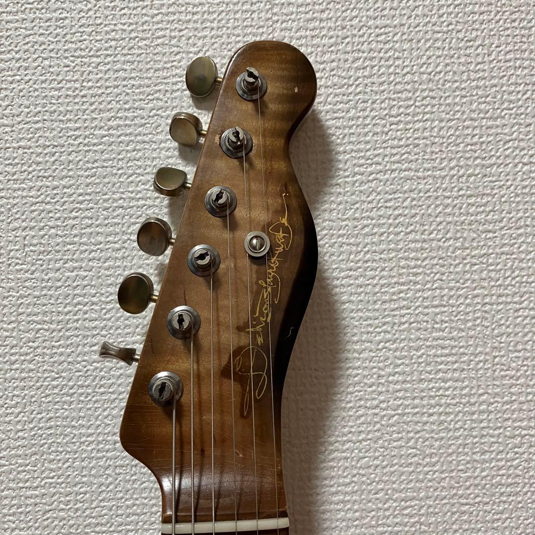 Delicious Taylor made RogueSnake テレキャス