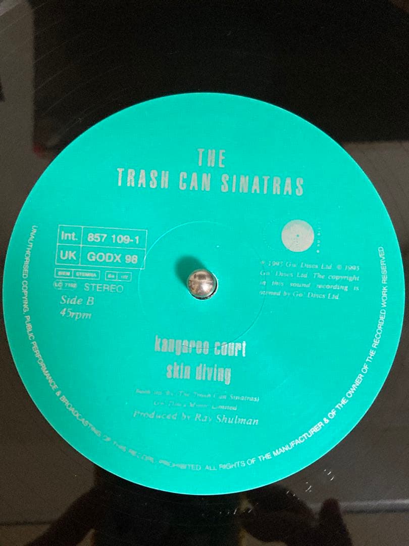 洋楽 The Trash Can Sinatras / Hayfever 12\"